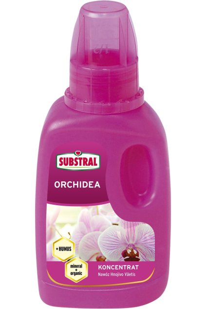orchidea