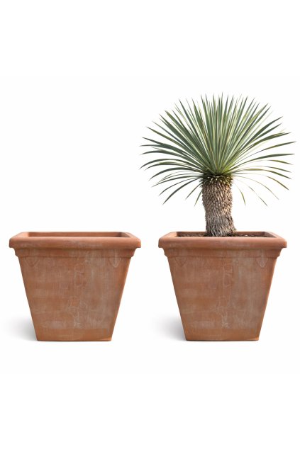 ChatGPT Image 18. 2. 2026, 10 53 07