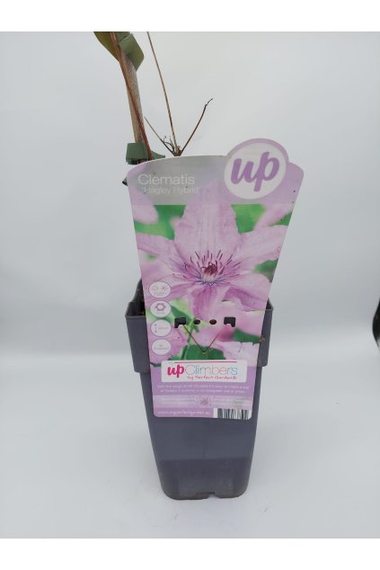 3aede2e9 454c 451e ba4a c4f7b8634c43