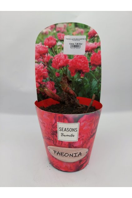 5ea540ce eaa8 4466 8e66 8cb7f03fa1f7