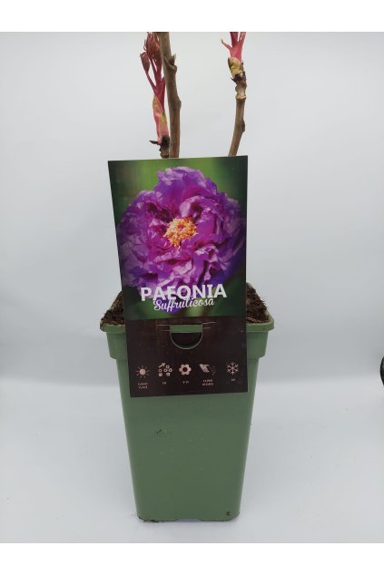 64424e06 7ed7 479a 99b4 7c871f811a24