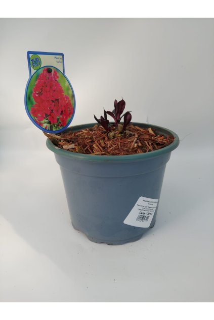 a5463351 be06 4478 9020 7bb2e3a5bc02