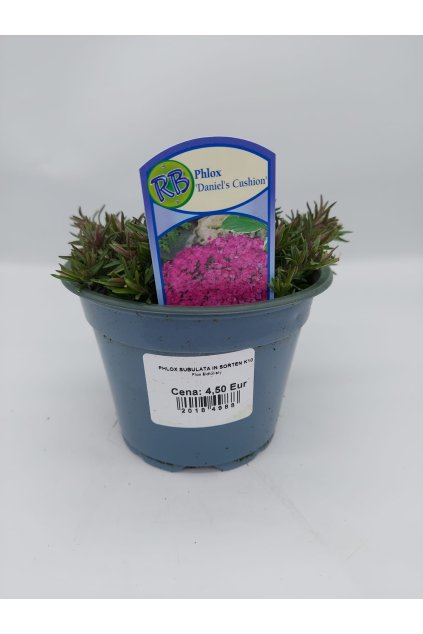 40ac883f 5983 4543 9dfc c75c7e1466a5