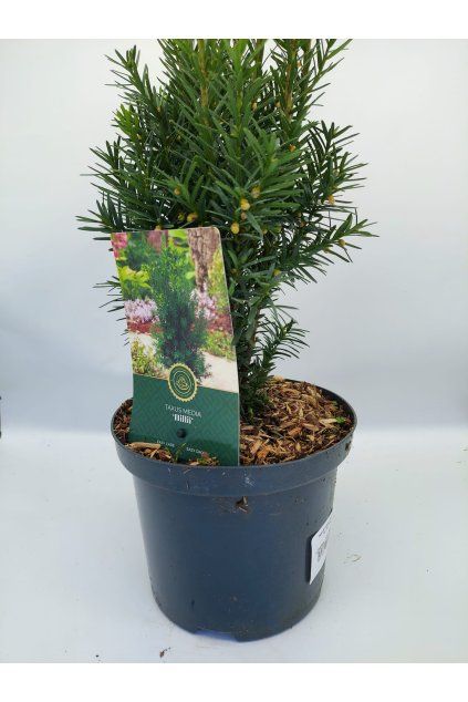 7ee4c6b0 15d3 4885 979b 9bc2ecb3cceb