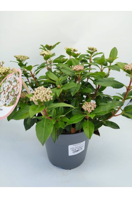 ef092bb2 1ec9 43b9 9029 5cf6a7e70d43