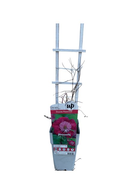 Untitled design (23)