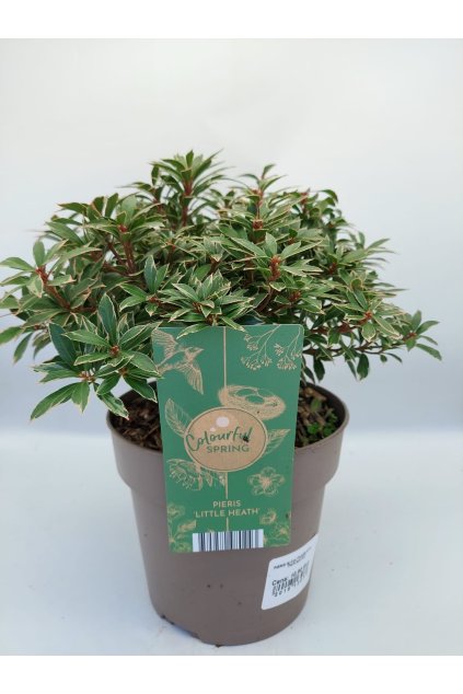 d4cde478 ddb4 407b 8f42 62afdcf9e20e