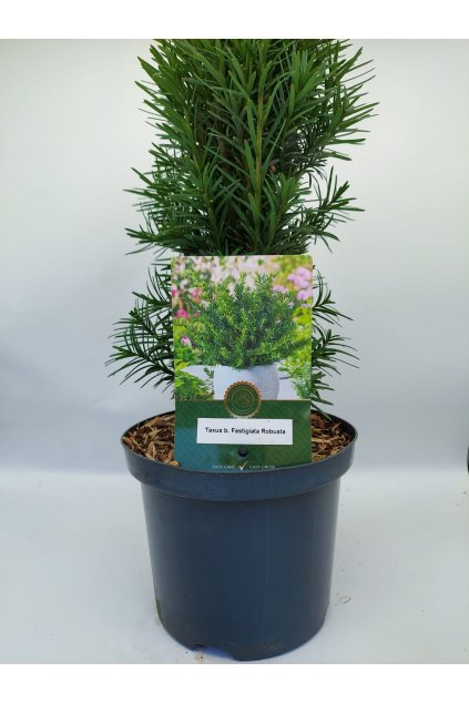 644f66c7 7562 4b61 81e6 d83cba6a856e