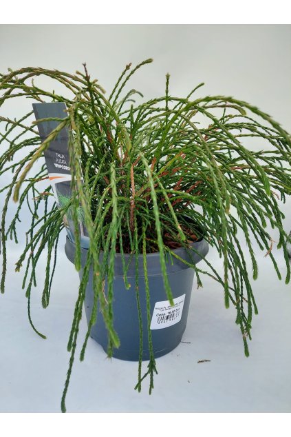 e5133f46 e7c4 4f66 9c0e 9e0596841a73