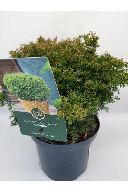 828a3c31 dc25 4ed2 8824 d4de9417f742