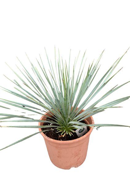 Untitled design (63)