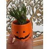 Succulents Scary Halloween ceramic