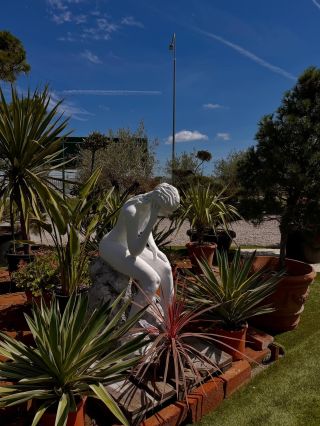 Niektoré veci v živote sú úplne jednoduché – ako radosť z novej rastliny. 🌿 Každý nový list je malý zázrak, každé...