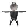 BP301G Pro Large Graphite open
