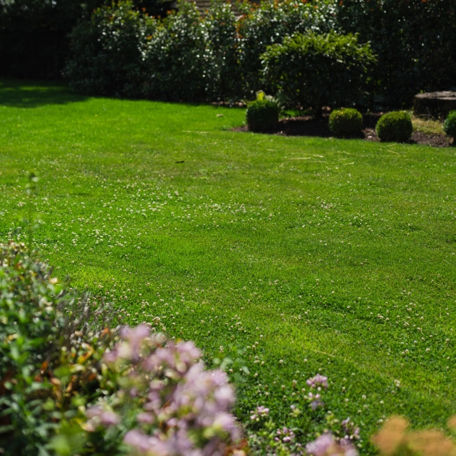 Trávnik s 4Turf technológiou – odolnosť a regenerácia po záťaži