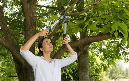 Dva broušené nože se při střihu těsně minou a zanechávají za sebou přesný a čistý řez. Nůžky na větve EasyCut jsou proto ideální pro stříhání čerstvého dřeva. V případě potřeby lze nože znovu nastavit.