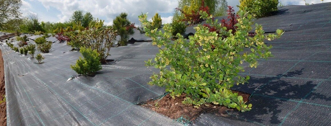 Tkaná textilie proti plevelu