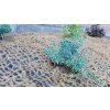 Kokosová rohož na zpevnění svahů JUTENON ECC 400 g/m² – 50 m × 2 m