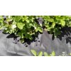 Netkaná mulčovací textilie, 50g/m2, 10m x 3,2m - černá