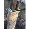 Pás na ochranu kmene stromu proti mrazu a zimnímu slunci – 100 % len, 10 cm × 10 m