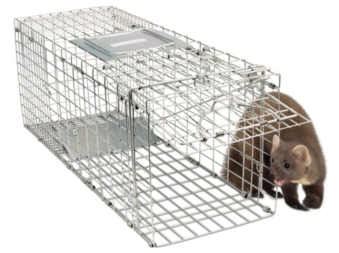 Živolovná past na živý odchyt kun a jiných zvířat / klec pozinkovaná ocel / GARDIGO