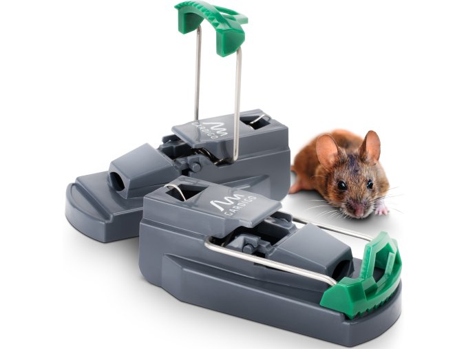 62376 Profi Mausefalle humane Schlagfalle von Gardigo