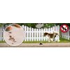 60050 hunde und katzen abwehr szenebild 851403678062f5 800x275