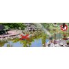 60082 Solar Wasser Tiervertreiber Szene 1 800x275