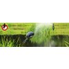 60083 Wasser Tierabwehr Szenebild 3 800x275