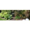 60083 Wasser Tierabwehr Szenebild 6 800x275