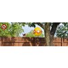 60094 Vogelfrei Ballon Szene 35551fb860f780 800x275