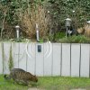 60068 solar tierabwehr basic tiervertreiber katzen