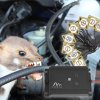 78540 Marderschock Plus Elektroschock HochfrequenzXh3wmT2Xpe5W8