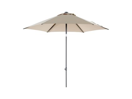 slnecnik poppi 250cm champagne
