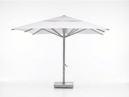 Maxi slnecnik profi pre gastro