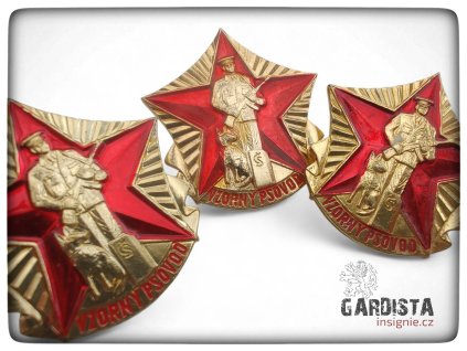 Odznak Vzorný psovod