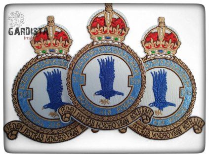 313. československá stíhací peruť RAF