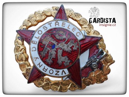 Čestný odznak Vzorný dělostřelec (4502)