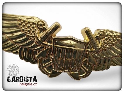 Pilot US NAVY