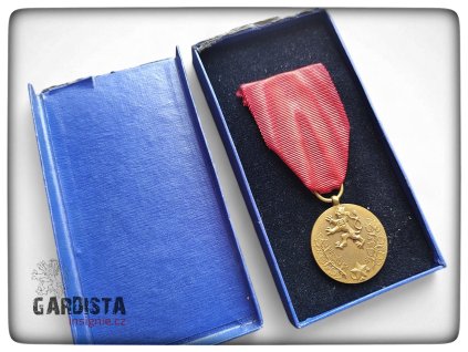 Medaile "Za službu vlasti"