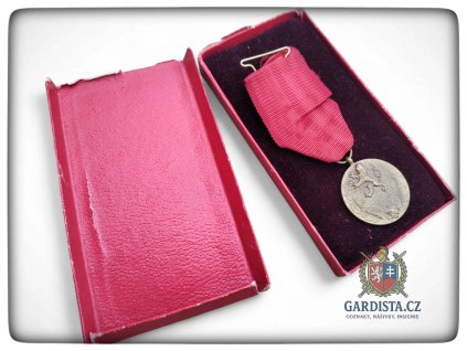 Medaile "Za službu vlasti"