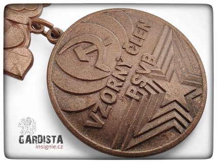 Medaile "Vzorný člen PS VB"