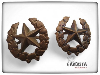 Rozlišovací odznak - vševojskový