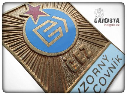 Vzorný pracovník ČEZ