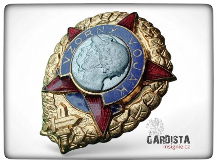 Odznak VZORNÝ VOJÁK - tombak + smalty