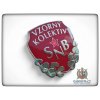 Vzorný kolektiv SNB