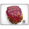 Vzorný kolektív ZNB