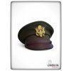 Brigadýrka US ARMY