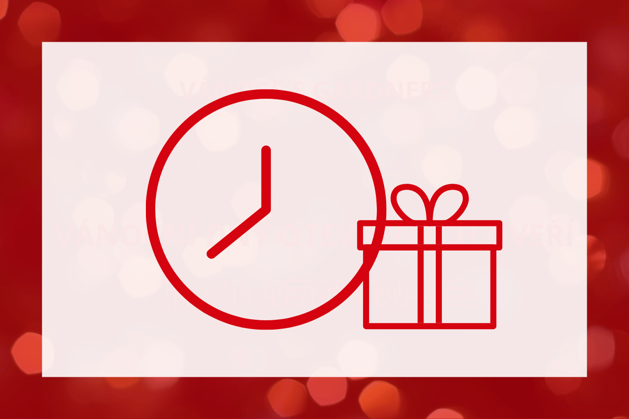 Ježíšek za pět minut dvanáct