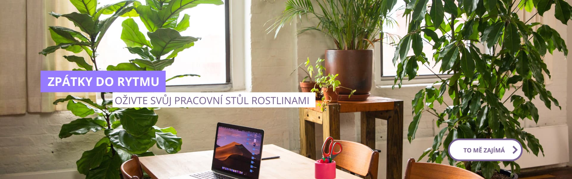Zpátky do rytmu (back to the school/office)